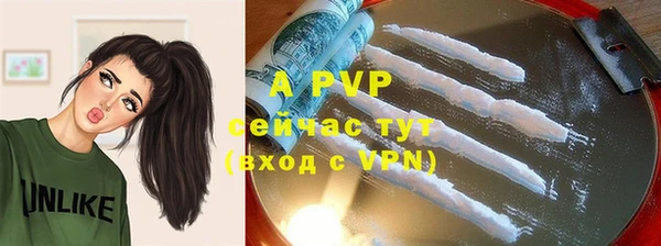 ПСИЛОЦИБИНОВЫЕ ГРИБЫ Няндома