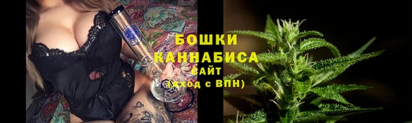 ПСИЛОЦИБИНОВЫЕ ГРИБЫ Няндома
