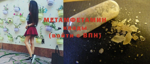 ПСИЛОЦИБИНОВЫЕ ГРИБЫ Няндома
