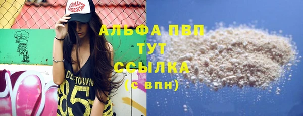 ПСИЛОЦИБИНОВЫЕ ГРИБЫ Няндома