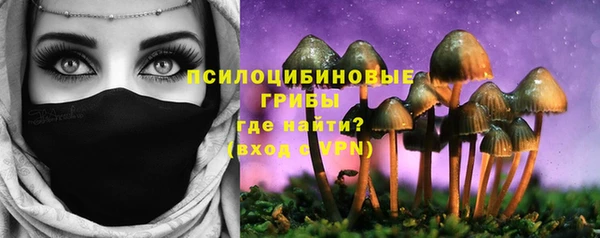 крисы Нягань