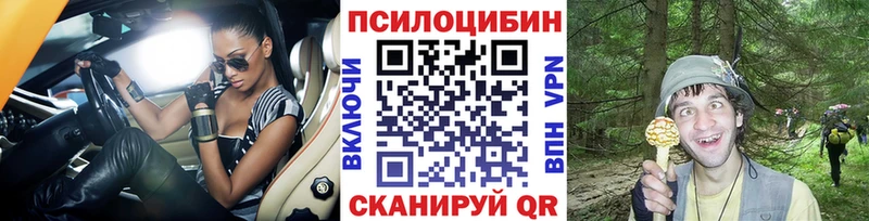 Псилоцибиновые грибы MAGIC MUSHROOMS  где можно купить наркотик  Светогорск 