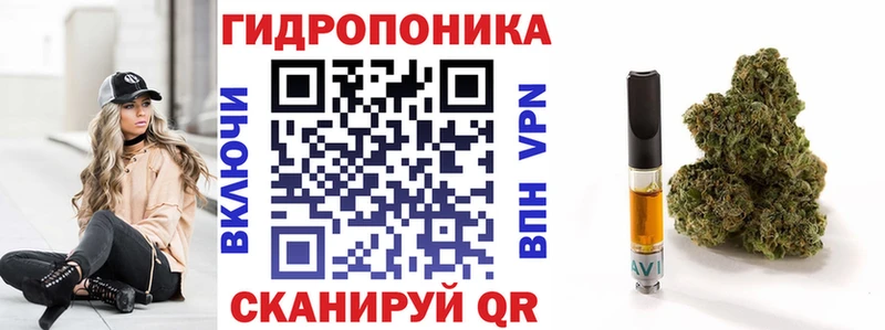Бошки Шишки LSD WEED  где найти   Светогорск 